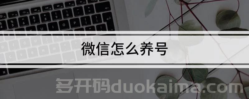 2022年微信怎么养号不容易被封？不得不知的，微信养号九大法则！《苹果小白泽兑换码》